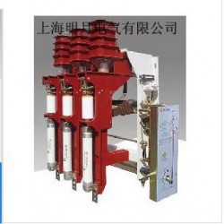 质量好的FZN25-12高压负荷开关温州口碑好的公司供应