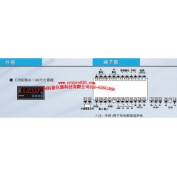 XSE6 XSE6系列高精度数字式智能仪表