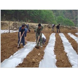 质量好的地膜品牌介绍    _农用地膜销售