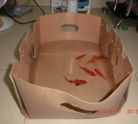 圳鸿防潮展示盒、防水鱼虾盒