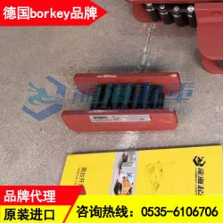 C-III履带式滚轮小车30吨,汽包移运用borkey滚轮