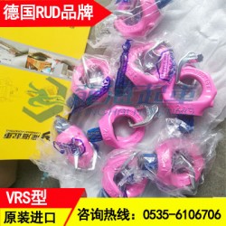 北京路德RUD旋转吊环批发,VRS-M10德国旋转吊环现货