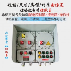 不锈钢防爆配电控制箱动箱IIC*接线箱动力箱电源箱PLC防爆