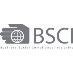 BSCI认证咨询|行为守则对于社会责任各模块内容的审核要求